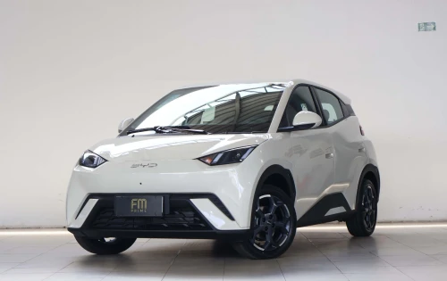 2027 BYD Dolphin Mini GS